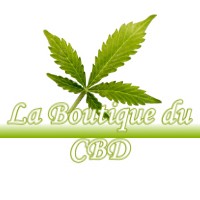 LA BOUTIQUE DU CBD LALOURET-LAFFITEAU 